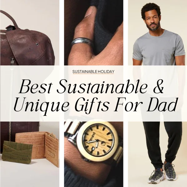 unique & useful gifts for dad who have everything