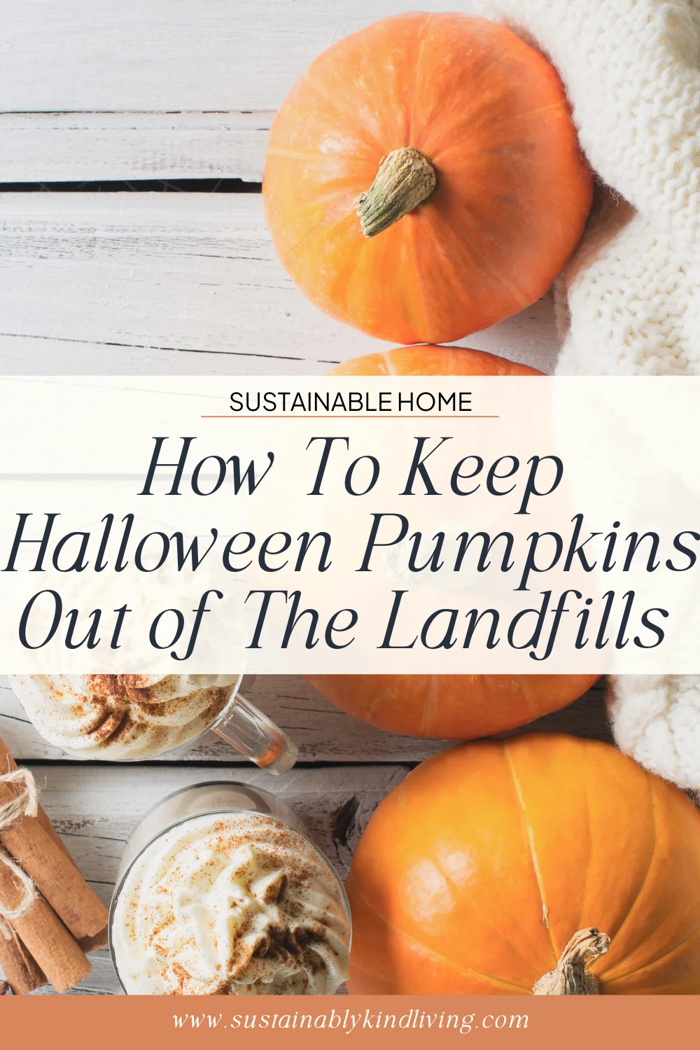 Alternatives to Landfills for Pumpkins