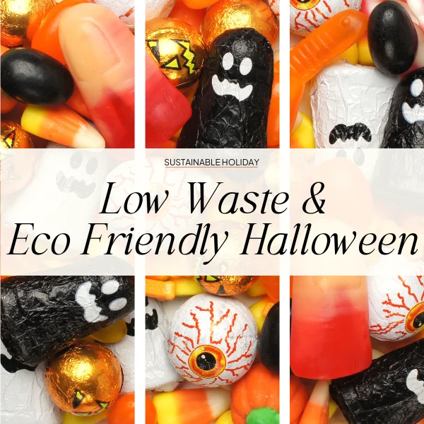 low waste Halloween candy