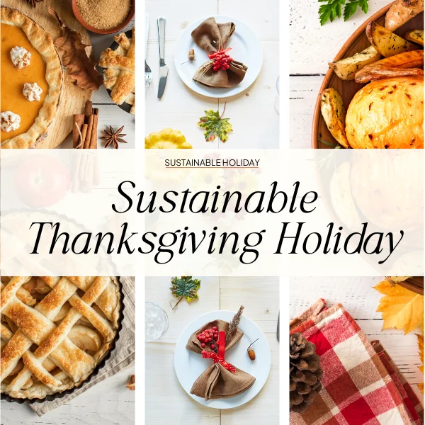 Eco-Friendly Thanksgiving Tips