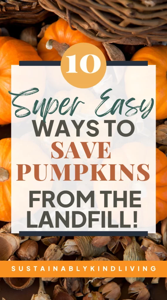 how to sustainably get rid of halloween pumpkins