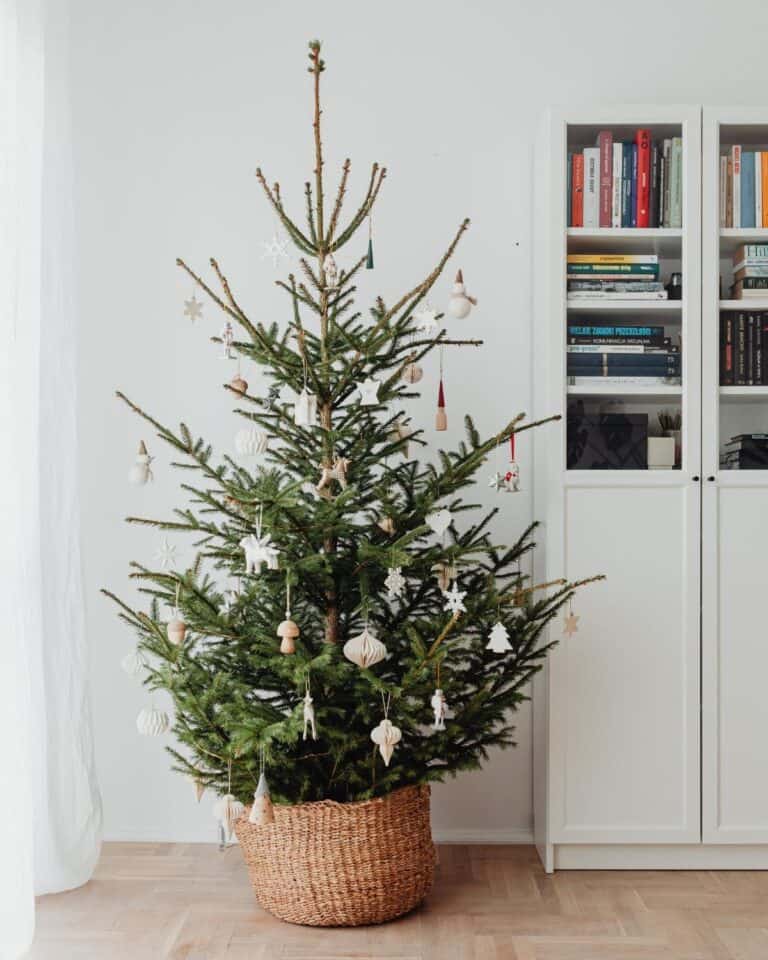 The Best Sustainable Christmas Tree Alternatives