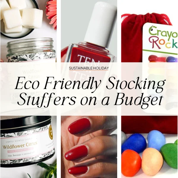 Eco-Friendly & Sustainable Stocking Stuffers For Kids  Stocking stuffers, Stocking  stuffers for kids, Kids gift guide