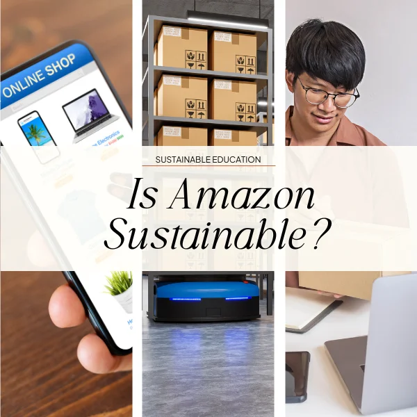 is amazon sustainable? 