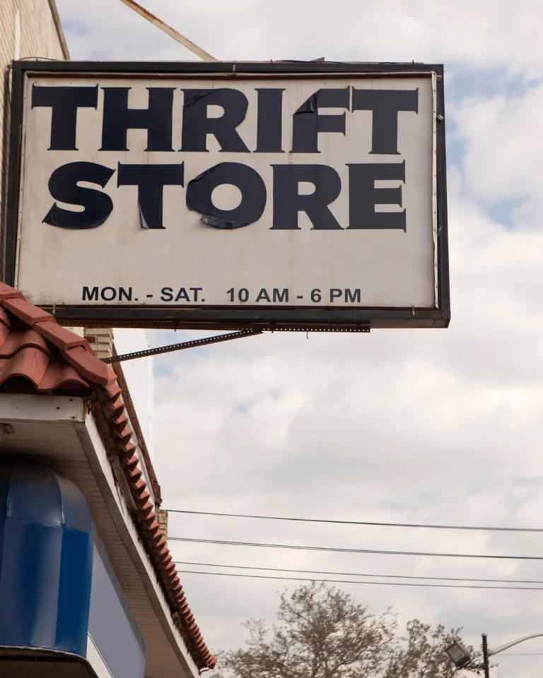 The 50 Best Online Thrift Stores For Super Easy Secondhand Shopping!