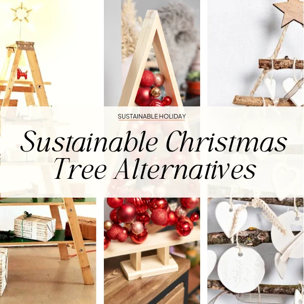 best christmas tree alternatives