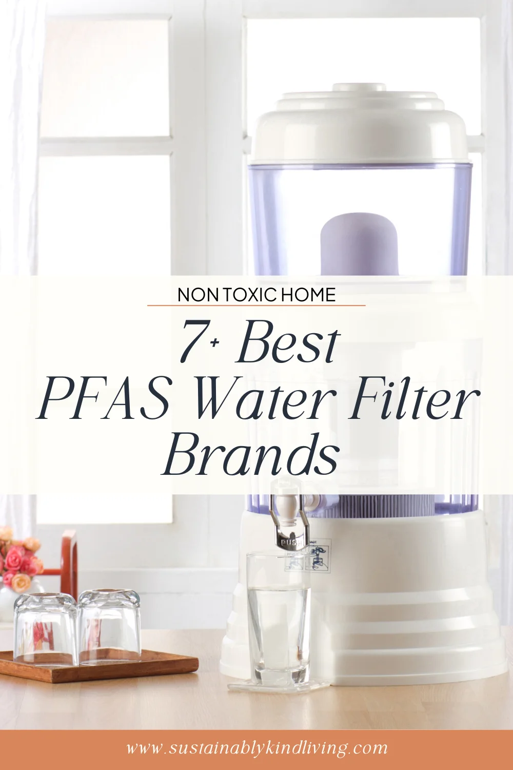 PFAS water filter