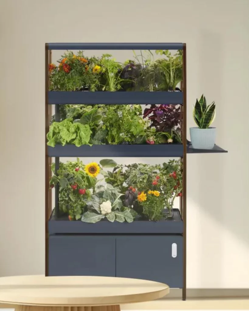 best indoor garden system 2024