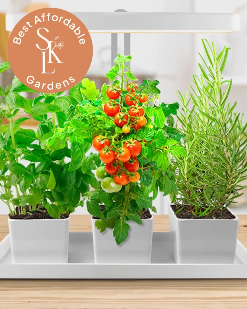 best indoor garden growing system