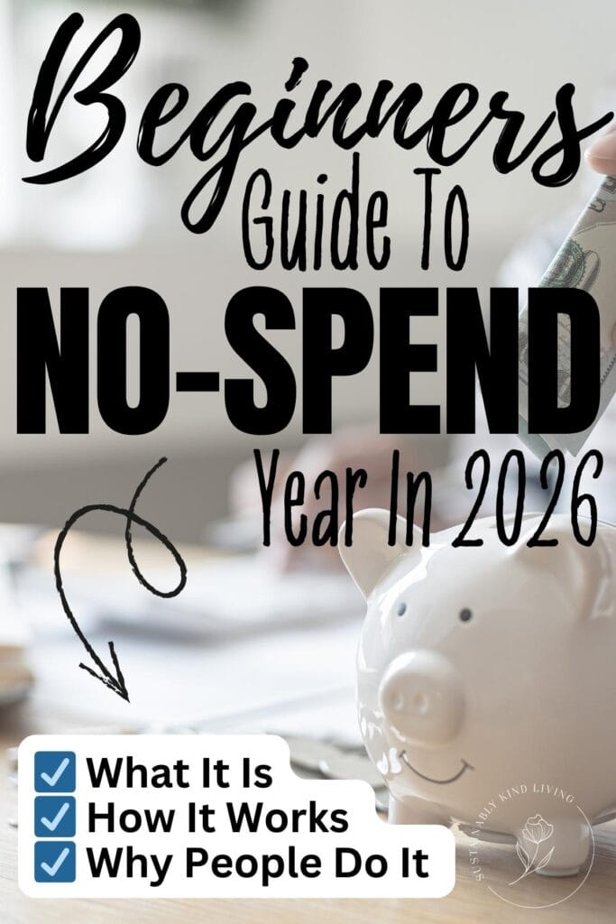 Beginnerโs guide to a no-spend year in 2026 with a piggy bank, cash, and text explaining what it is, how it works, and why people do it.