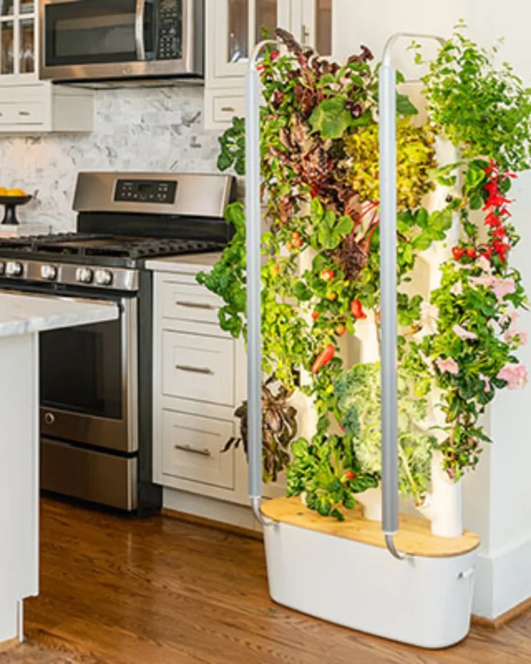 Is Gardyn Worth It? 5 Reasons To Love This Indoor Gardening System