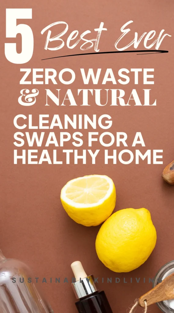 zero waste cleaning swaps