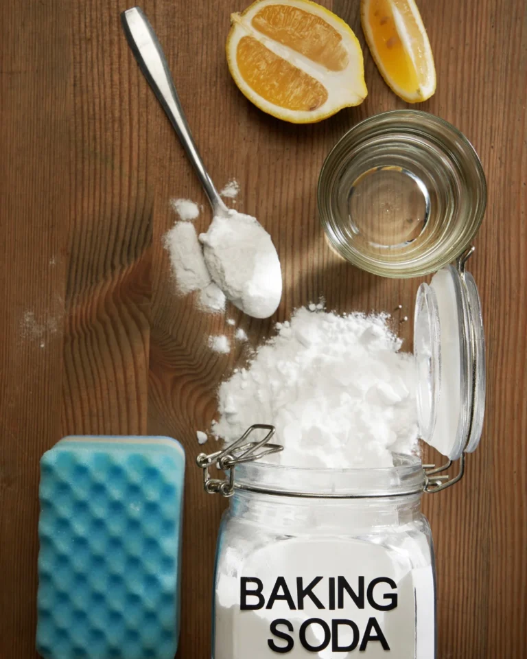 The Best Homemade Oven Cleaner Recipes | Baking Soda, Vinegar & Lemon Juice