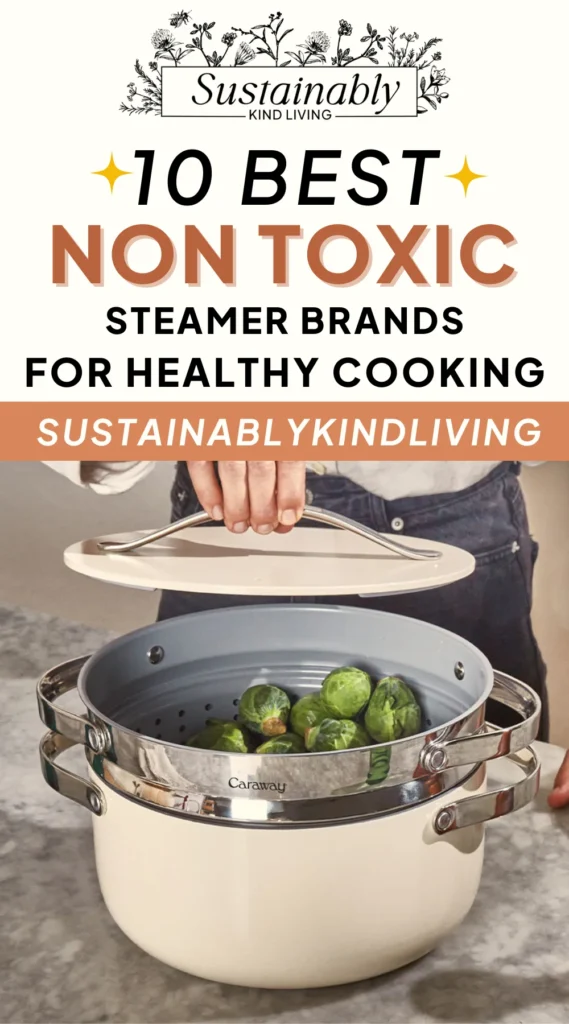 non toxic steamers