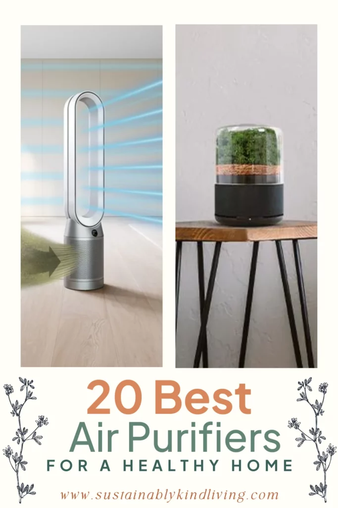 best home air purifier for pets