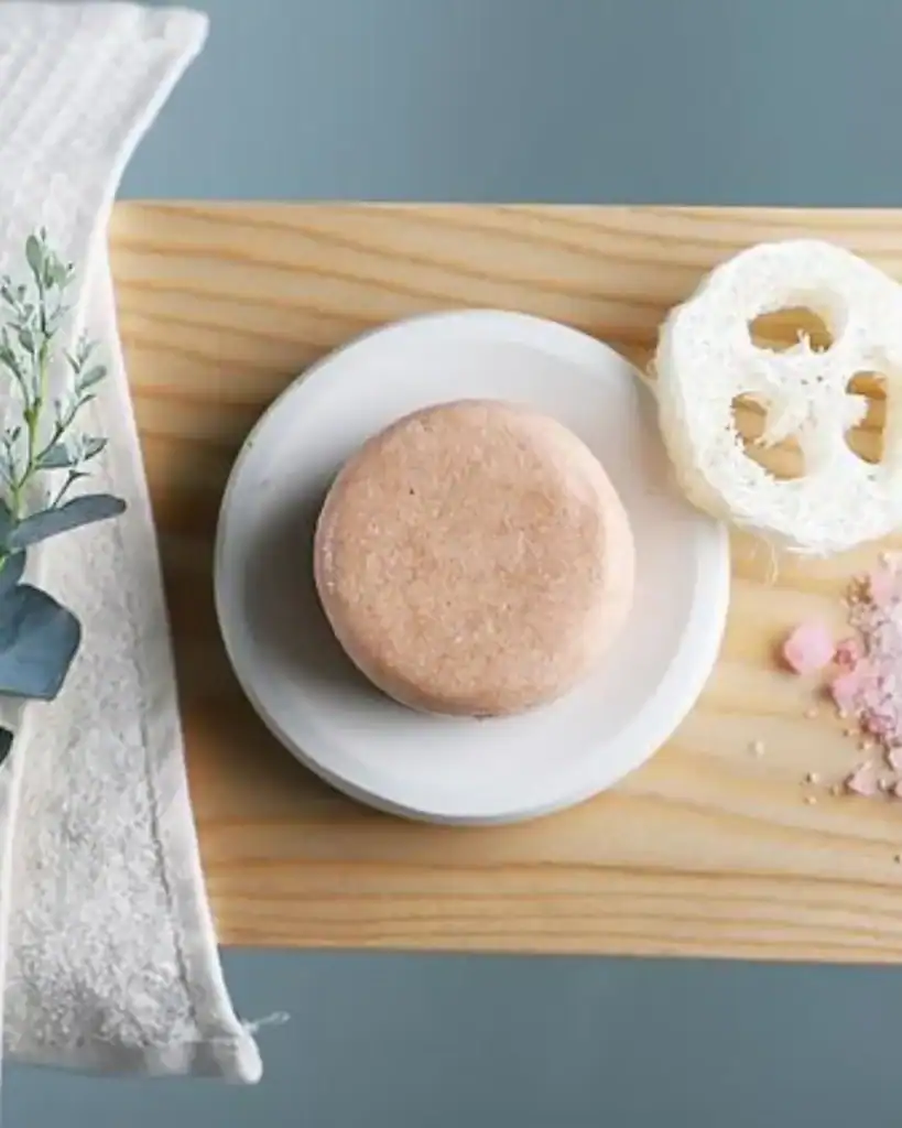 shampoo bar brands