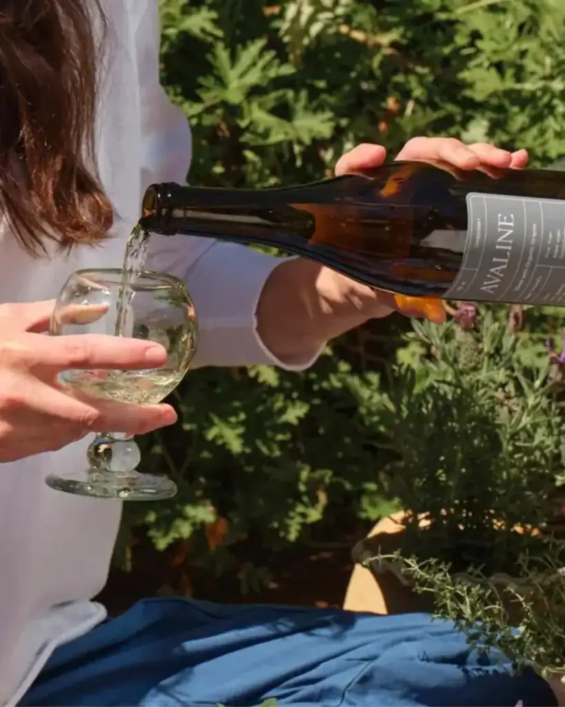 popular vegan wines