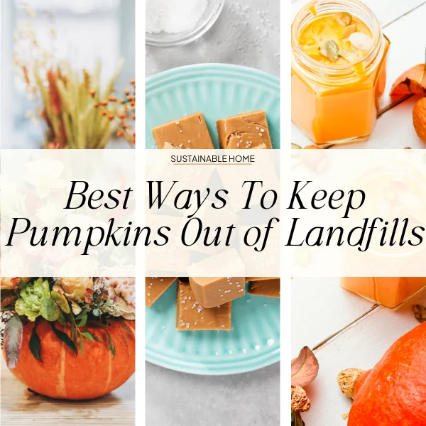 best ways to keep pumpkins out of the landfills