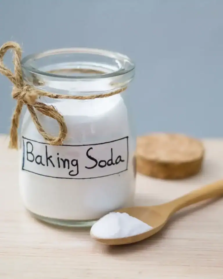 The Best Homemade Oven Cleaner Recipes