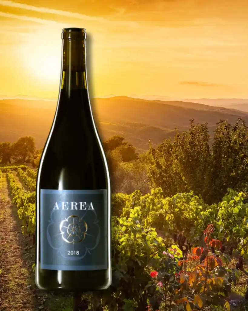 vegan wine brands