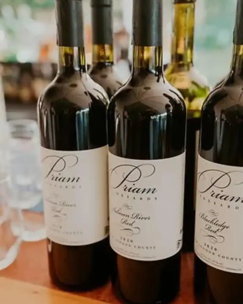 Vegan wine red