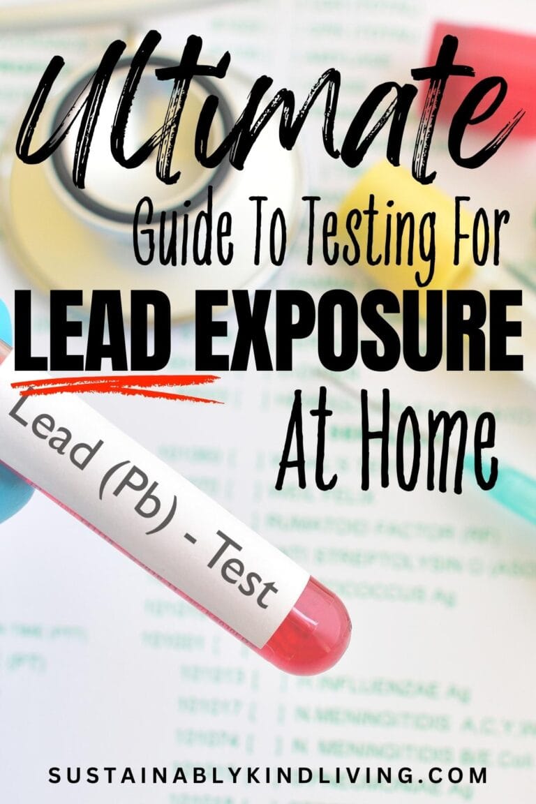 How To Test For Lead Exposure At Home | Full Guide To At-Home Testing ...