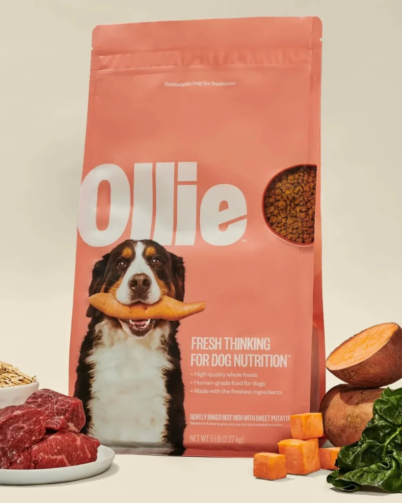 non toxic dog food