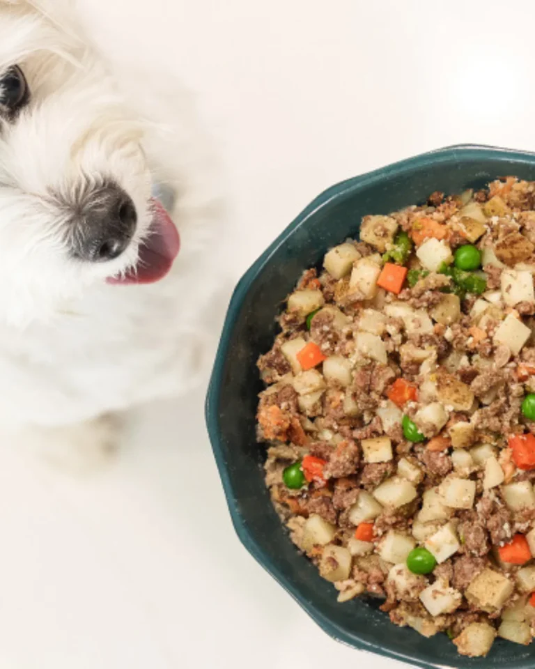 11 Best Natural & Non-Toxic Dog Food Brands With Safe Ingredients 