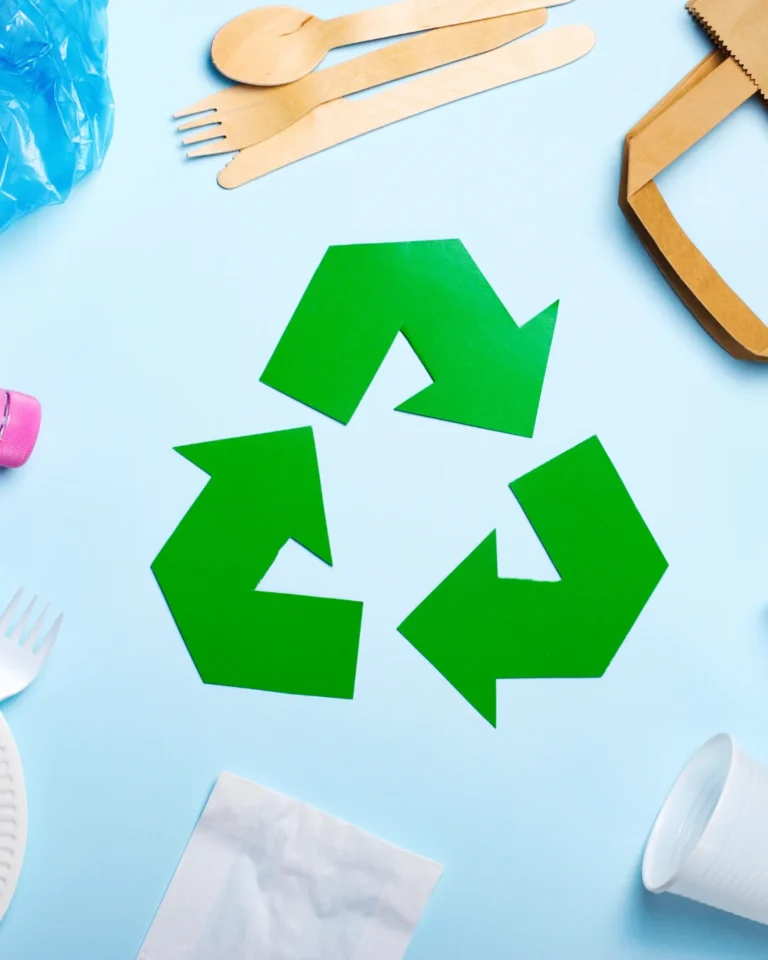 Quick Guide To Understanding Recycling Symbols In 2024