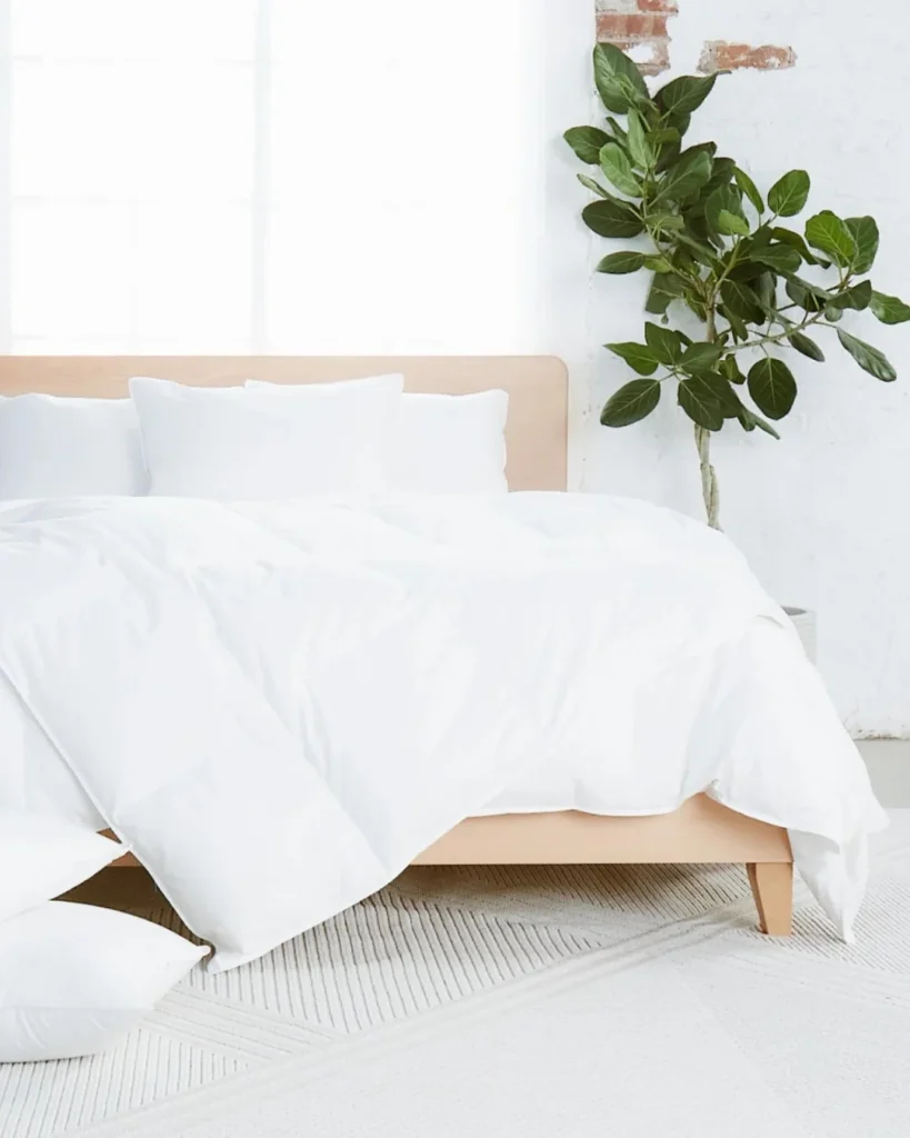 11 Best Organic Cotton Comforters & Non-Toxic Duvet Inserts ...