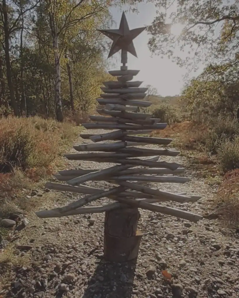 sustainable Christmas tree alternatives