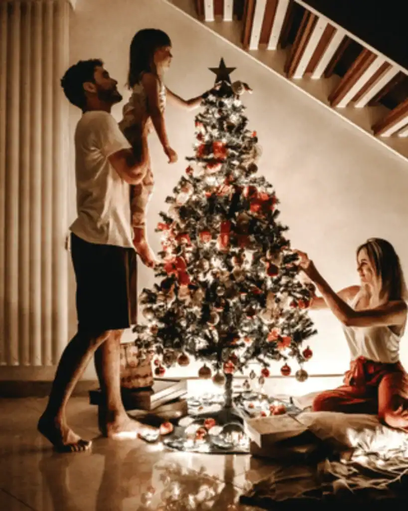 sustainable Christmas tree alternatives