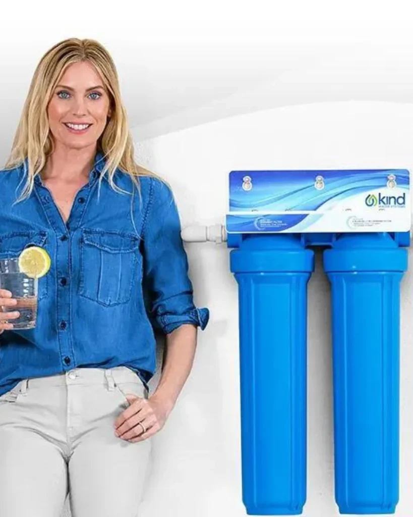 full house water filters 