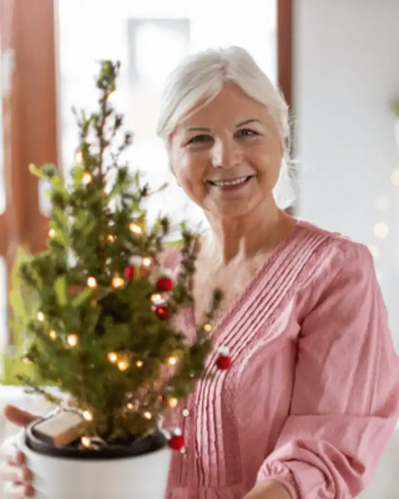 sustainable Christmas tree alternatives