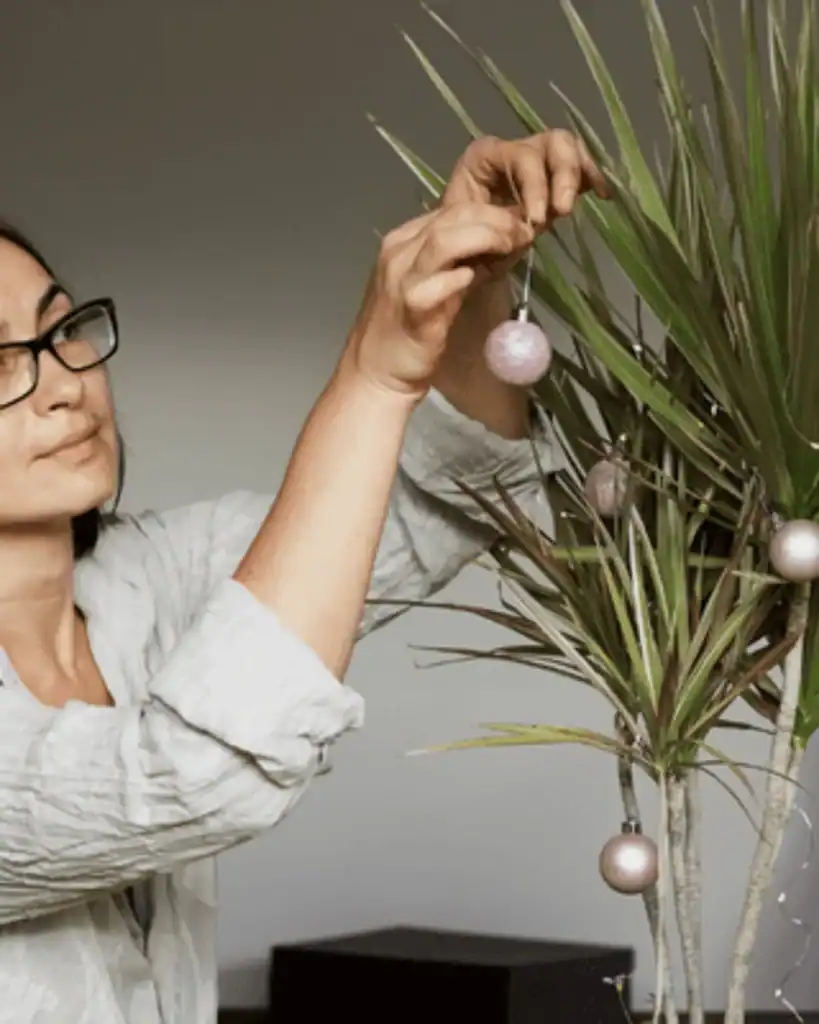 sustainable Christmas tree alternatives