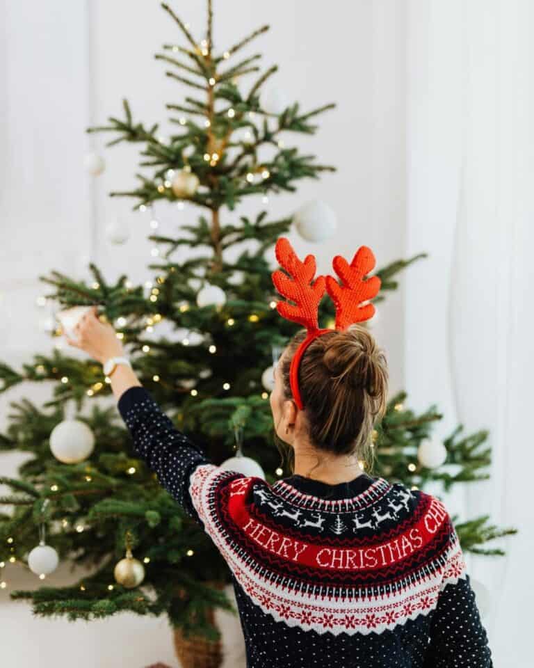 25 Best Sustainable Christmas Decorations | DIY & Store-Bought