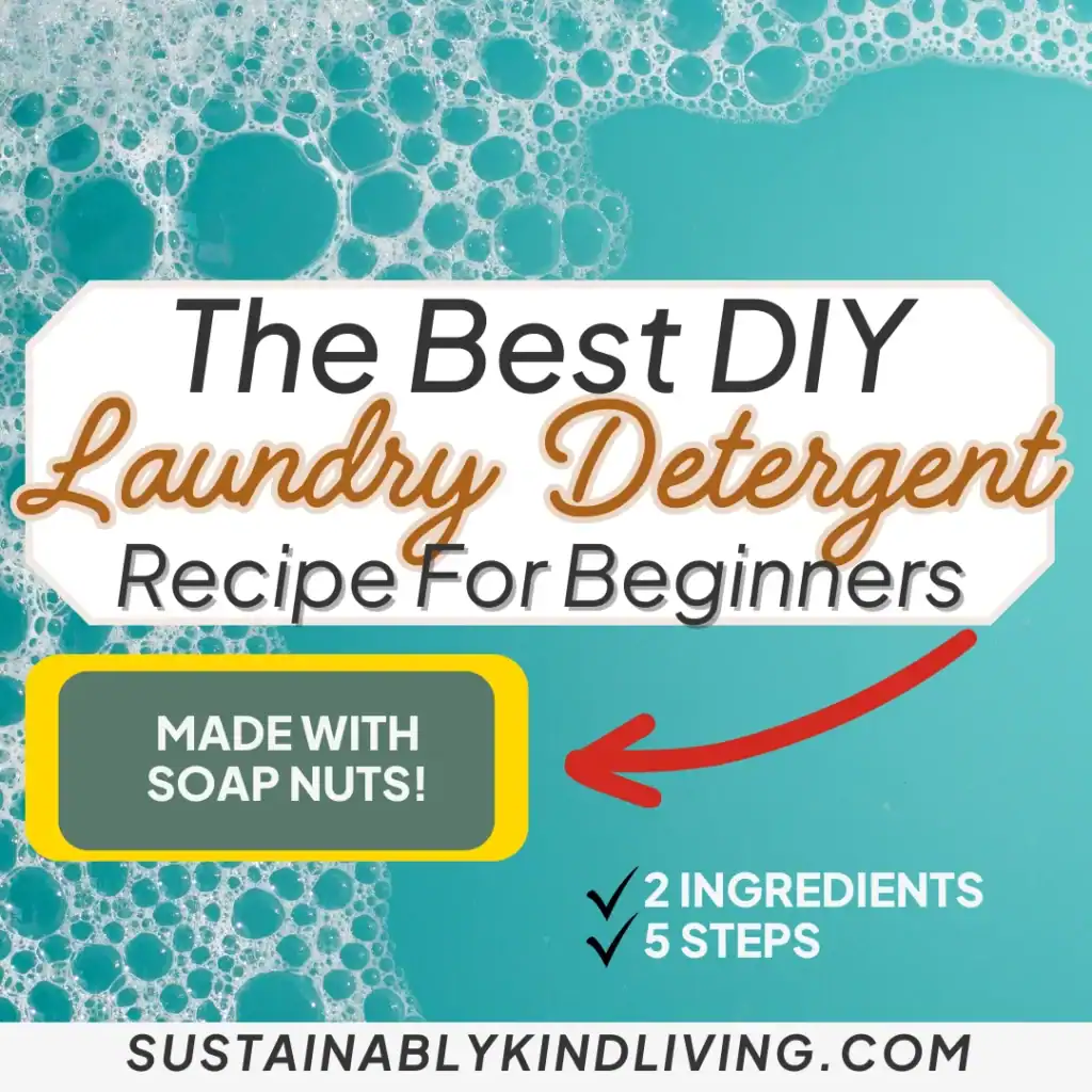DIY laundry detergent soap nuts