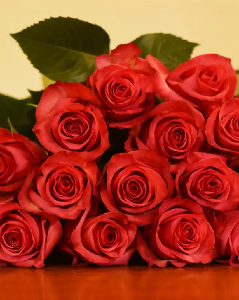fairtrade flowers