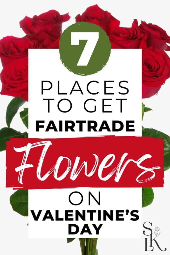 Graphic reading “7 Places to Get Fairtrade Flowers on Valentine’s Day,” featuring a bouquet of red roses on a white background with bold red and green text accents and the Sustainably Kind Living logo in the corner.