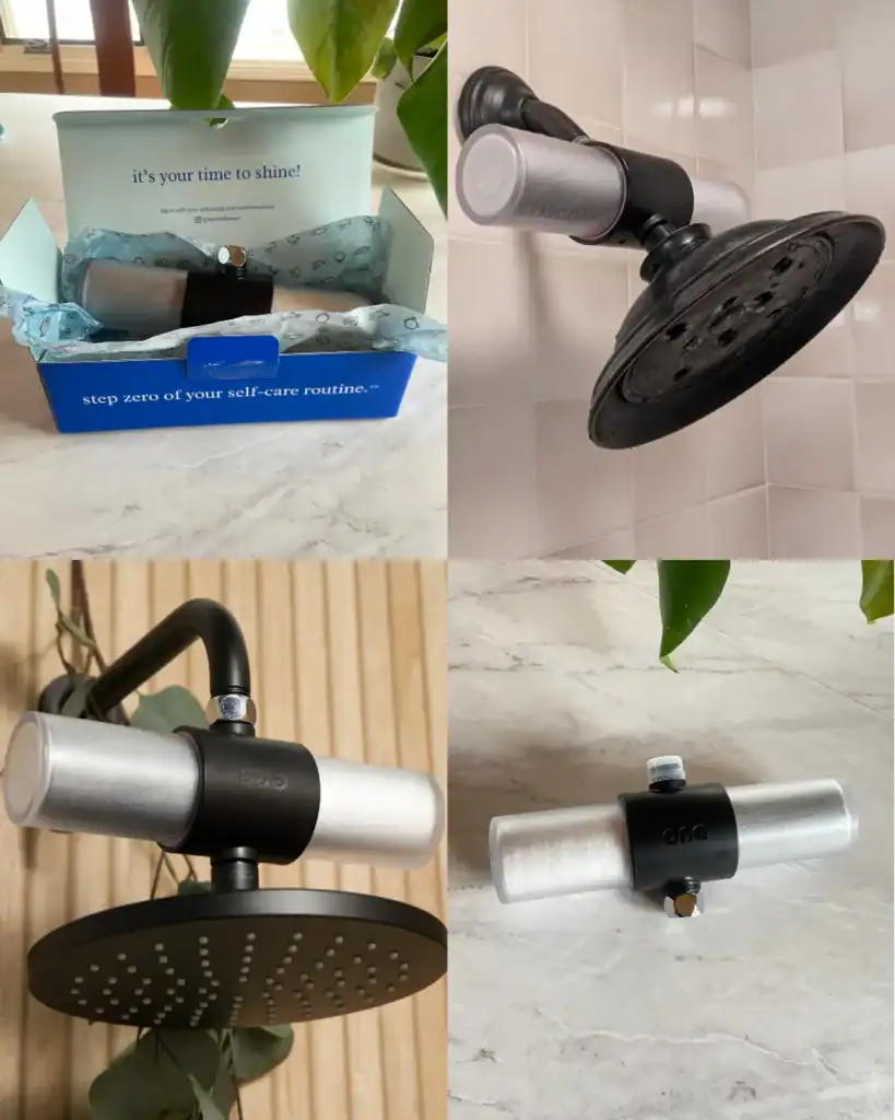 4 images showcasing the Weddell duo.