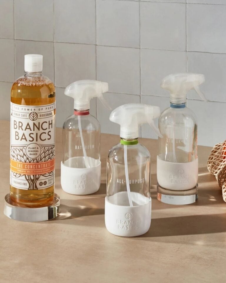 The best non-toxic cleaning products for a healthier home featuring safe and natural cleaning brands.
