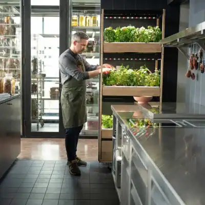 indoor garden system brands