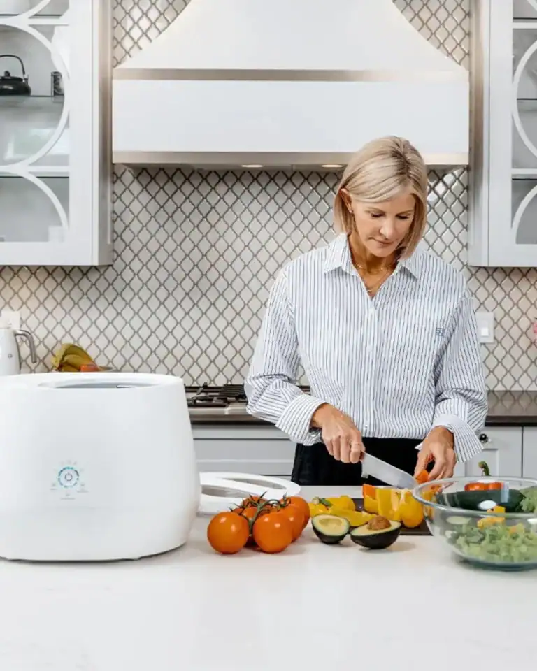 electric kitchen composters