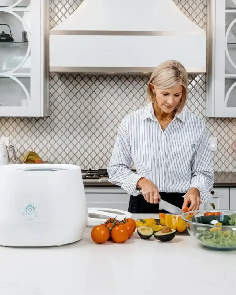 electric kitchen composters