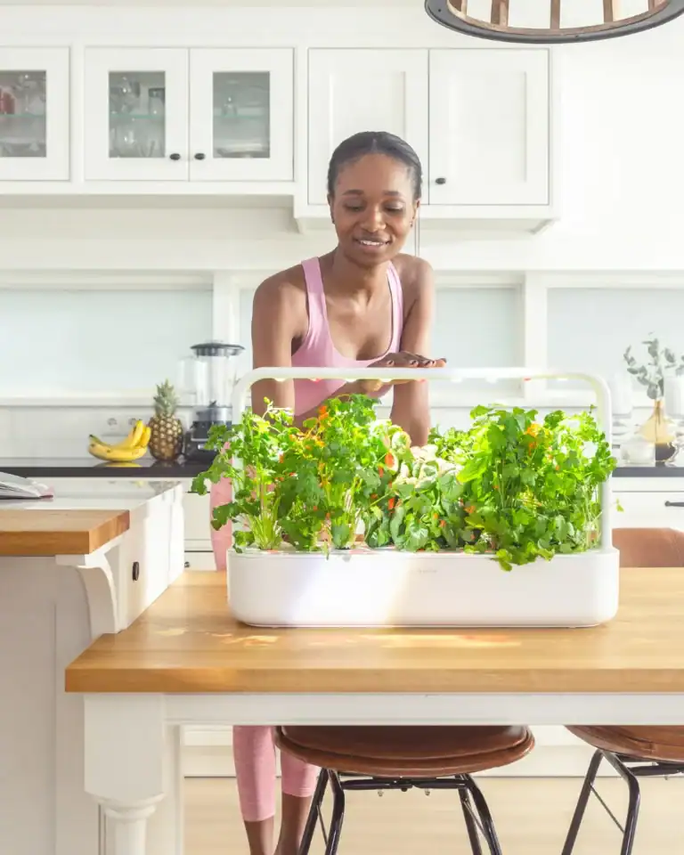indoor garden systems