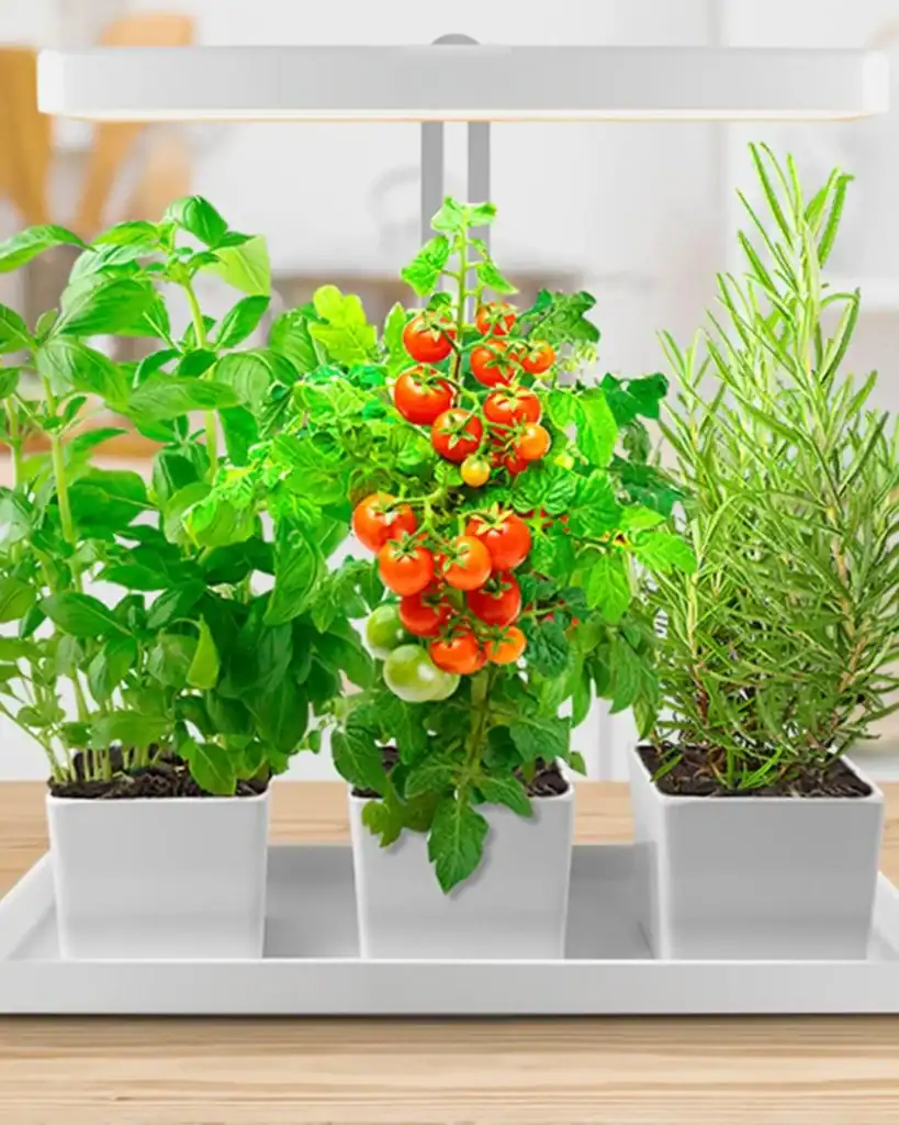 indoor garden system brands