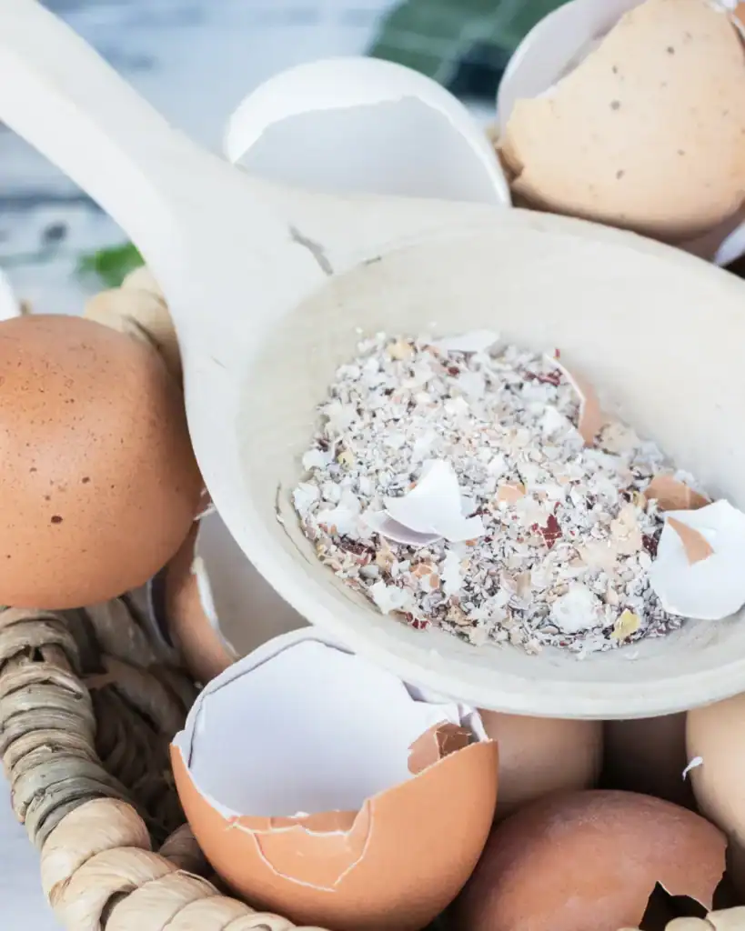 homemade fertilizers