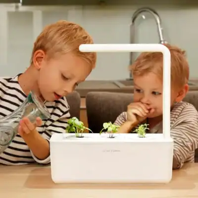 best indoor garden systems