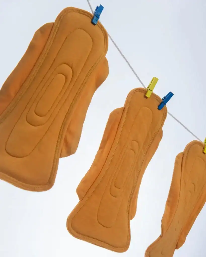 Nookees reusable organic period pad system featuring interchangeable pads and lyocell underwear.