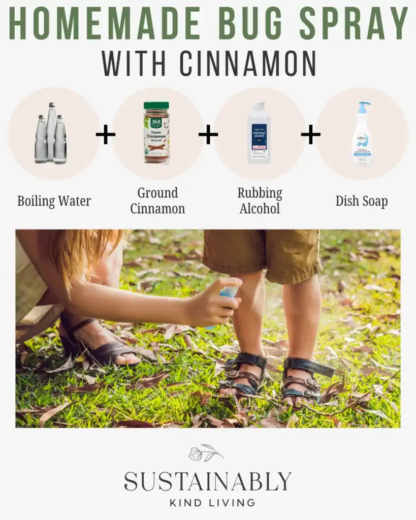 Chemical-Free DIY Insect Repellent